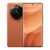 سعر و مواصفات  Realme GT5 Pro